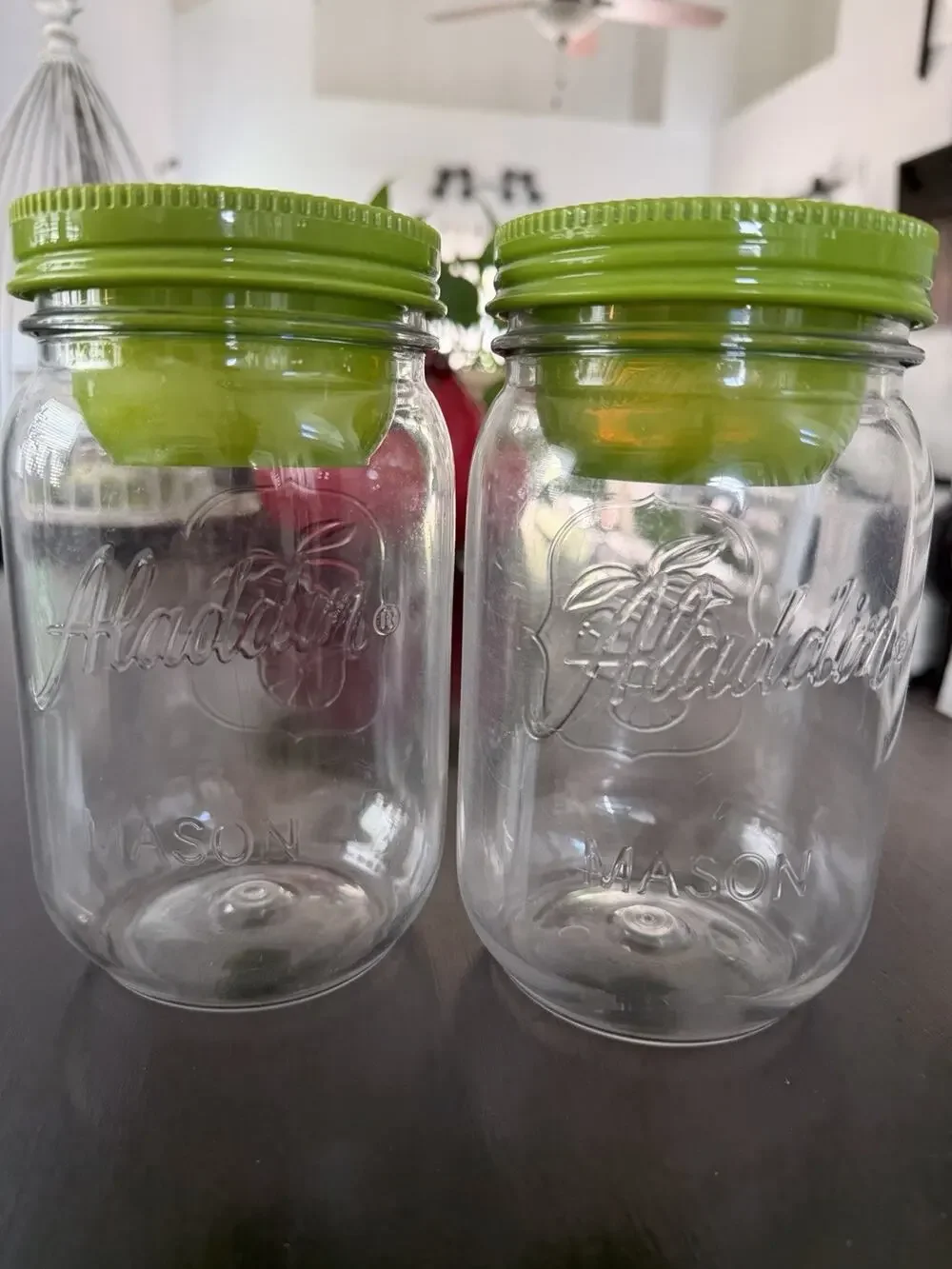 Aladdin Mason Citrus Jar Tumblers Snack Cup Insert Green Lids Set of 2